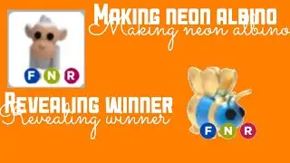 Making a Neon Albino/Revealing The Winner!