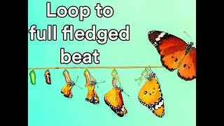 How I turn a loop into a full beat arrangement