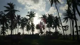 Beautiful Indian Village Nature || Bhimavaram||LakshmiNarayanaPuram ||Andhra Pradesh