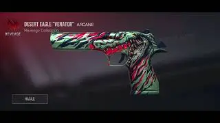 ВЫПАЛА АРКАНА С ПАССА, А ТЕПЕРЬ С КЕЙСА?😱