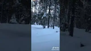 #чудеснаязама#зимняясказка❄️❄️❄️