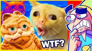 World's Most Strangest Cats!