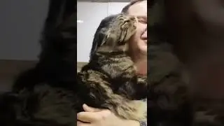 Мейн-кун встречает своего хозяина с командировки.