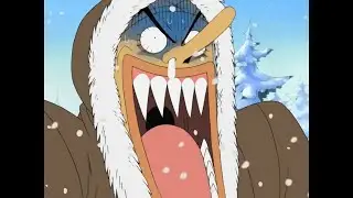 Hiking Bear || One Piece Funny Moments #3