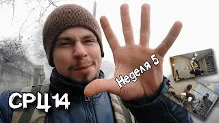 СРЦ14. Неделя 5. Первые сложности