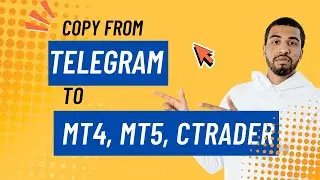 Telegram To MT4, MT5 and cTrader, easy and fast.