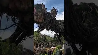 Bienvenue à Pandora 🤩 #avatar #animalkingdom #disneyworld