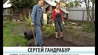 Сеем газон   уДачные советы