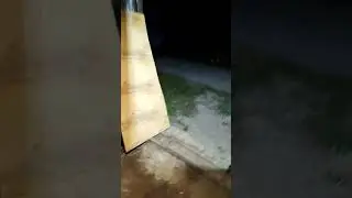 29 сентября 2023 г.