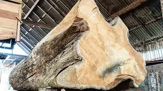 Amazing!! The unexpected discovery of giant teak wood was very expensive