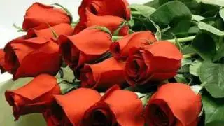 ROSES РОЗЫ Վարդեր