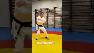 Работа из стойки Неко-Аши-Дачи. Asai Ryu karatedo. 