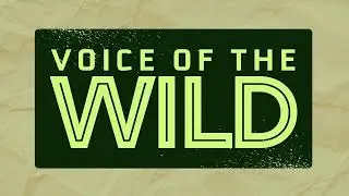 Voice of the Wild: Coming Soon!