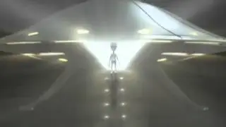 UFO LANDS IN SHOEBURY