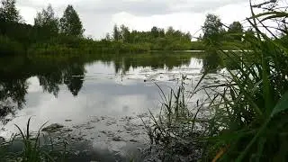 Спокойная река (Calm River). Relax