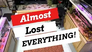 DISASTER AVOIDED!