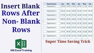 How to Insert Blank Rows After Every Row in Excel