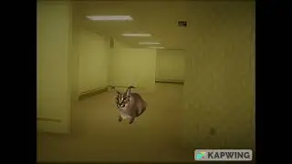Uh Uh poopoo stinky