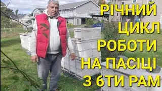 Річний цикл роботи на пасіці з 6ти рам #бджільництвов6тирамвуликах