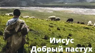 Иисус - добрый пастух