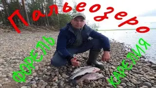 Нашли БЕГЛЯНКУ,это ПАЛЬЕОЗЕРО!ФОРЕЛЬ в КАРЕЛИИ!