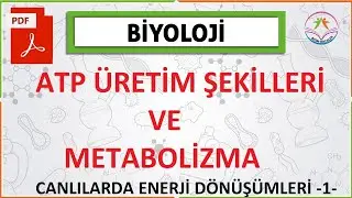 CANLILARDA ENERJİ DÖNÜŞÜMLERİ -1-( Metabolizma- ATP Üretim Şekilleri)