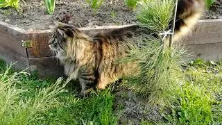 дача #дача