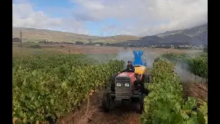 TRACTOR TAFE 45HP 2wd & 4wd