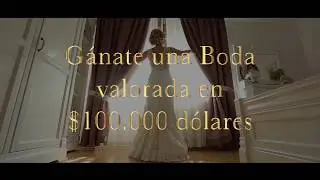 Carolina Muzo Wedding Youtuber