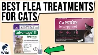 8 Best Flea Treatments for Cats 2021