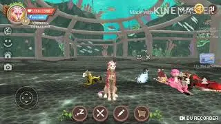 Открытие сундуков в WildCraft ( ОБНОВА !!! )