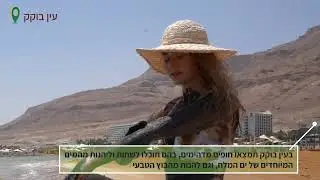 סרטון המלצות על דרום ים המלח מתוך הפקת יש לנו את זה