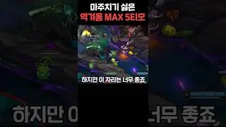 티모가 5명이 되면 생기는 일 ㅋㅋ