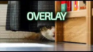 Overlays em executáveis PE
