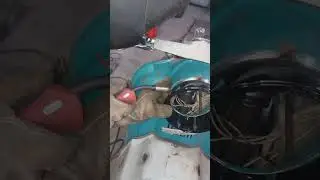 Байк shorts9