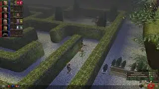 Прохождение Dungeon Siege - 37ep - САДЫ, ЗАМОК ЭЙБ И СЕКИ.