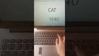 shortcut key for making cat 🐈