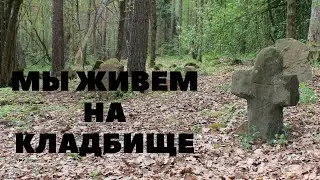 МЫ ЖИВЕМ НА КЛАДБИЩЕ.СИМБИРСК.ЧАСТЬ ВТОРАЯ.