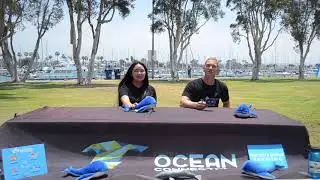 Whale Trivia Episode 7 | The Shore Buddies Show
