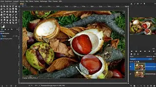 Rosskastanien-Foto dynamisch verbessern mit Gimp!