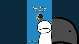 Dream Can't Record New Video 😞 #dream #dreamwastaken #dreamteam