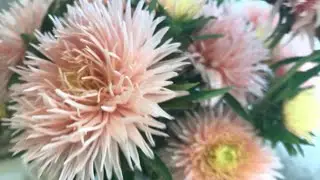 Джеки Чан. Золотые слова #познавательно