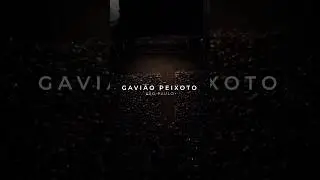 Gavião Peixoto ❤️🫶