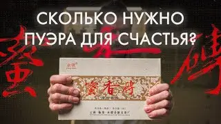 Килограмм чая! Кирпич Шу пуэра Ми Сян Чжуань | Art of Tea, китайский чай