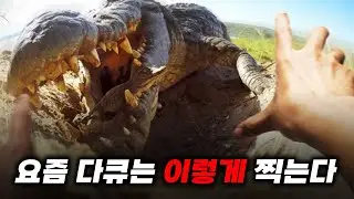 최신 동물 촬영방법