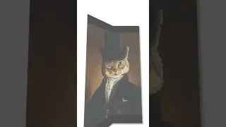Funny cat 😻