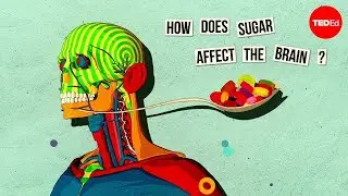 How Sugar Affects the Brain? Impacts Of Sugar On Your Brain.