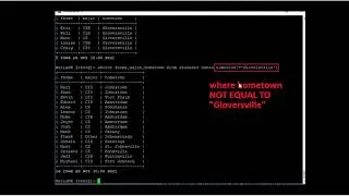 Database: Queries and the Select Statement