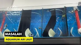 Tips Menambah Ikan Di Aquarium Laut