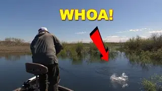 4 Ways To Fish The Tokyo Rig for Bass Fishing | How To | Bass Fishing